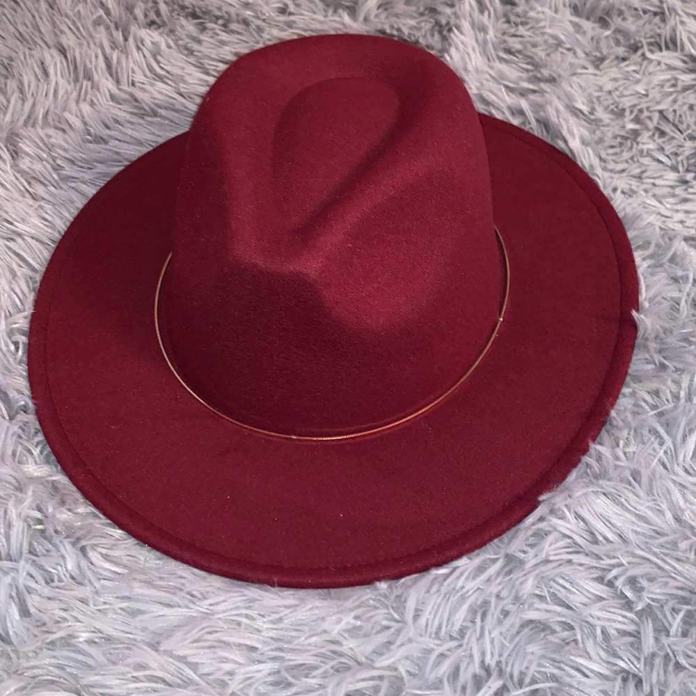 NWT Wide Brim Fedora hat